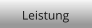Leistung